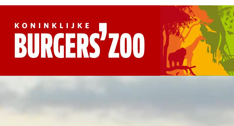 Koninklijke Burgers' Zoo, Eén persoon, Ticket of Toegangskaart