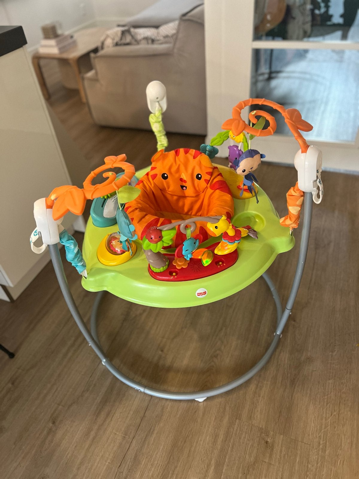 Fisher Price Jumperoo Springstoel - Muziek, Licht & Speelgo, Ophalen, Gebruikt, Overige typen, Met licht