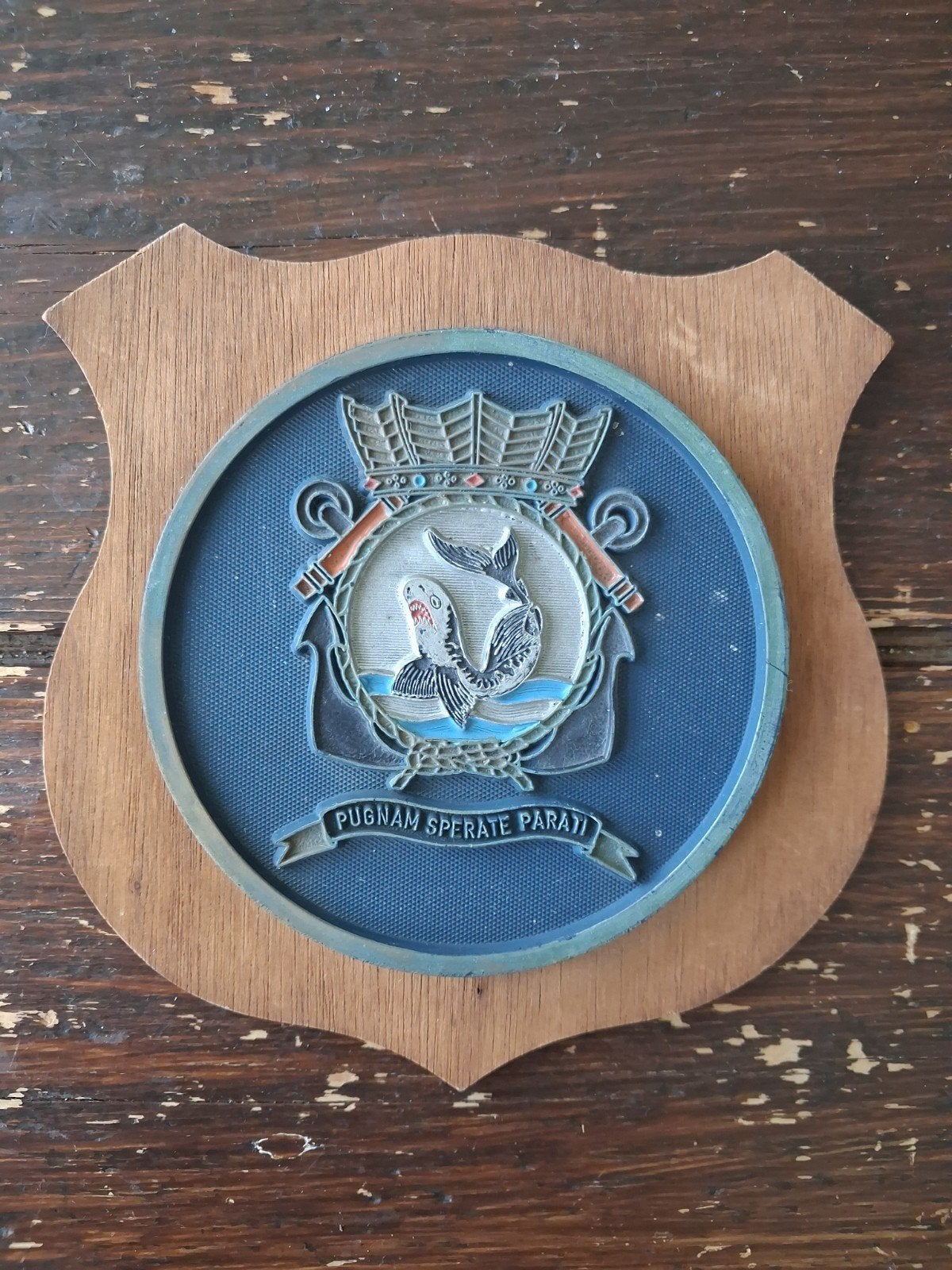 Houten schild Hr.Ms. Tijgerhaai (S 807) - Koninklijke Marine, Ophalen of Verzenden, Marine, Nederland, Embleem of Badge