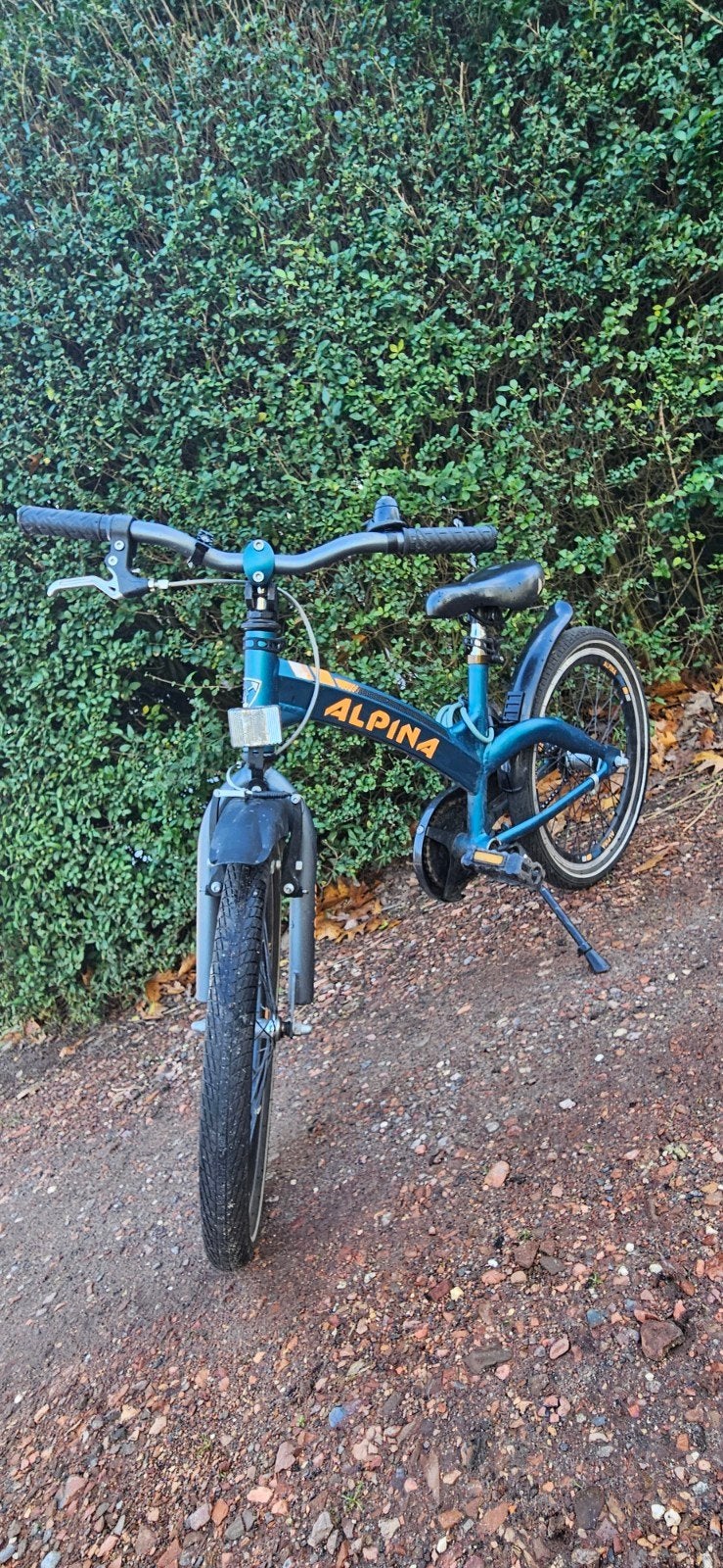 Alpina kinderfiets 20 inch, Ophalen, Gebruikt, Alpina, Terugtraprem