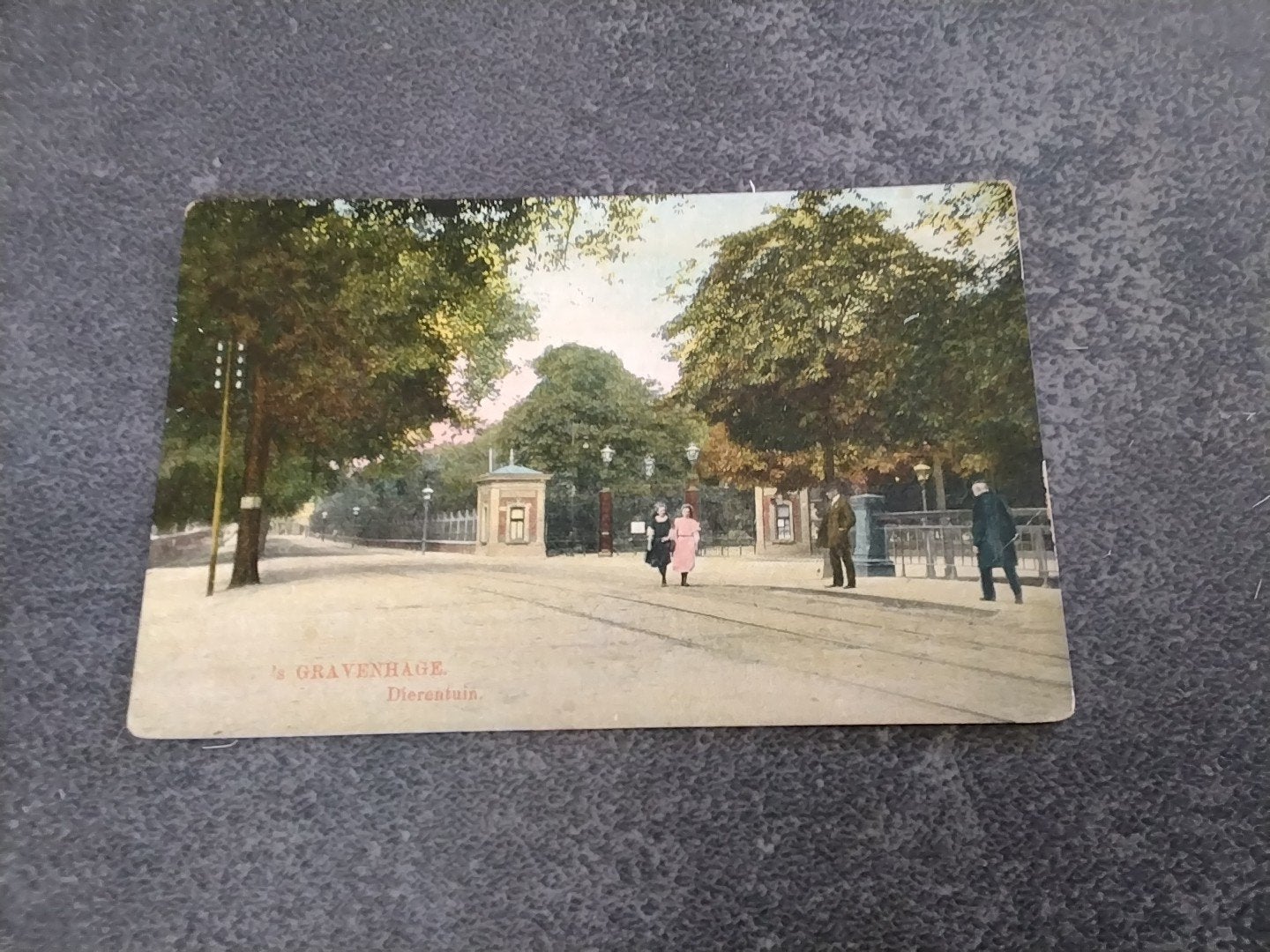 Den Haag Dierentuin, Ophalen of Verzenden, Voor 1920, Ongelopen, Zuid-Holland