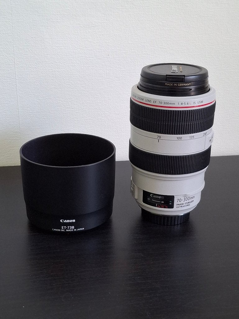 Canon EF 70-300mm f/4-5.6 IS USM, Audio, Tv en Foto, Fotografie | Lenzen en Objectieven, Canon, Zo goed als nieuw, Canon EF, Beschermhoes/tas