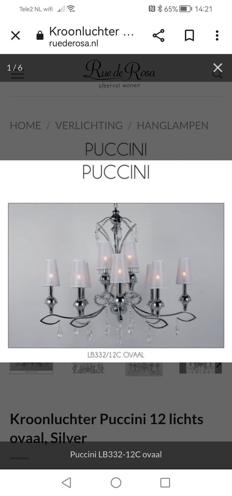 Foto 4 van Hang lamp kroonluchter puccini