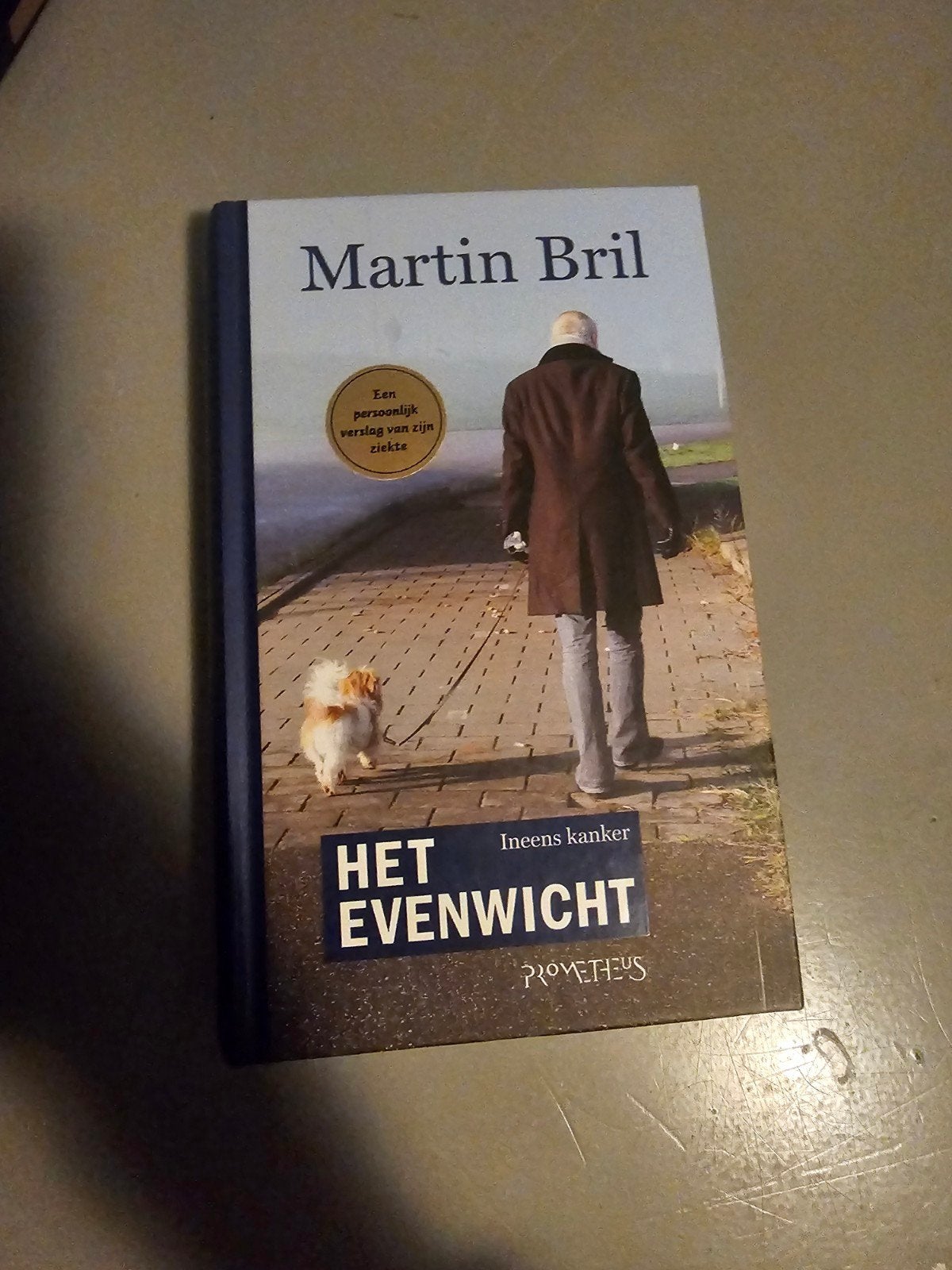 Martin Bril - Het Evenwicht, Ophalen of Verzenden, Zo goed als nieuw, Martin Bril