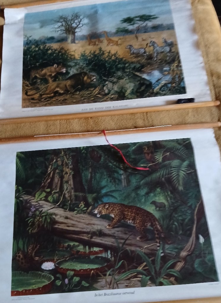 2 fraaie schoolplaten (rol), Ophalen, Natuur en Biologie