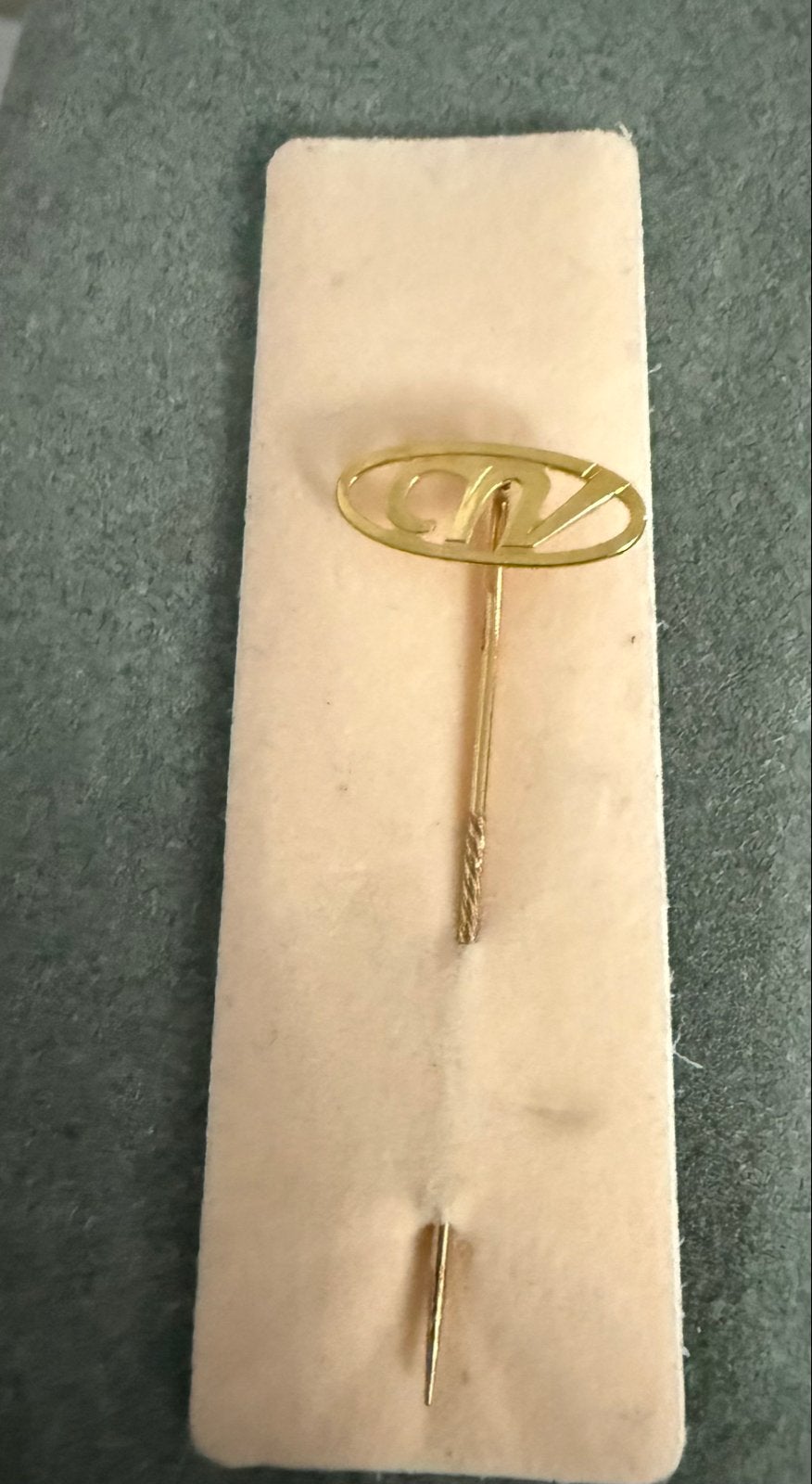 Gouden CNV 25 jaar lidmaatschap speld 14k geel goud, Ophalen of Verzenden, Goud, Broche