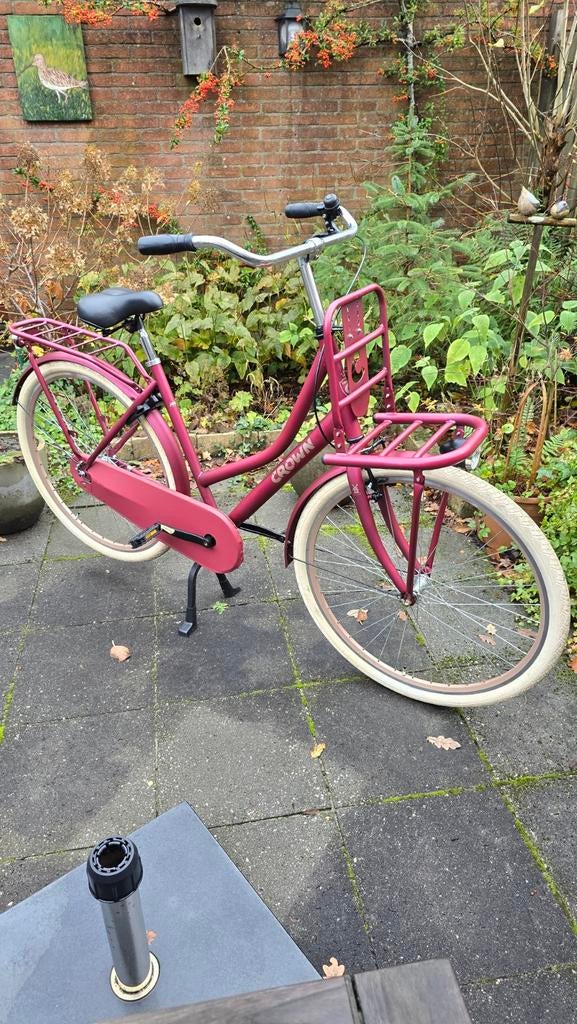 Zgan transport, 50 tot 53 cm, Ophalen, Zo goed als nieuw, Overige merken