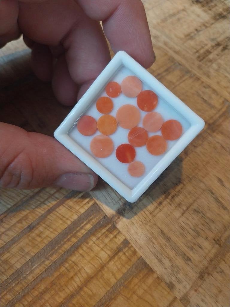 Koral schijfjes antiek, Ophalen of Verzenden