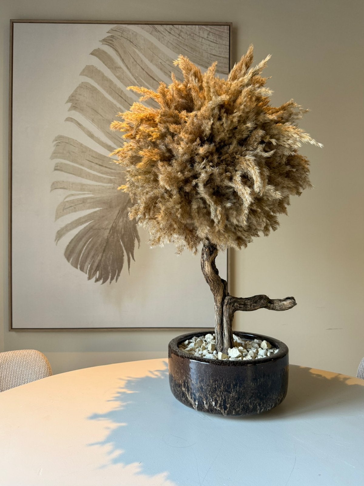 Handgemaakte Bonsai Pampasboom – Inclusief Pot, Ophalen, Nieuw