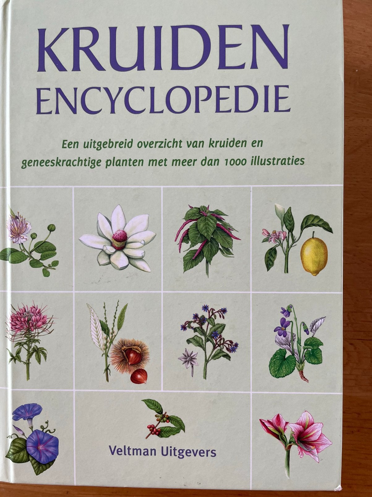 Eetbare planten, medicinale planten en kruiden encyclopedie., Boeken, Ophalen of Verzenden, Gelezen, Kruiden en Alternatief