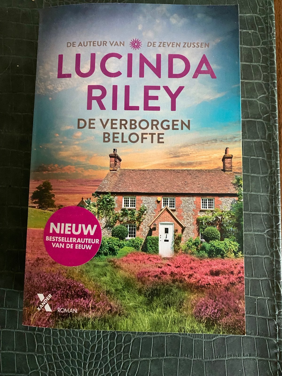 Lucinda Riley - De Verborgen Belofte (Roman), Ophalen, Zo goed als nieuw, Nederland