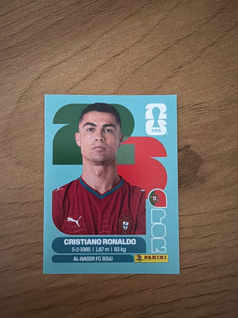 Panini sticker, Verzamelen, Verzenden, Zo goed als nieuw, Sport