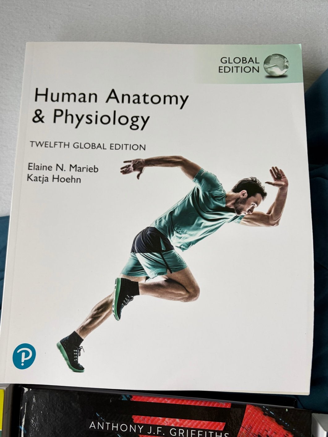 Human Anatomy & Physiology - 12e editie - 9781292421803, Boeken, Ophalen of Verzenden, Beta, Zo goed als nieuw, WO