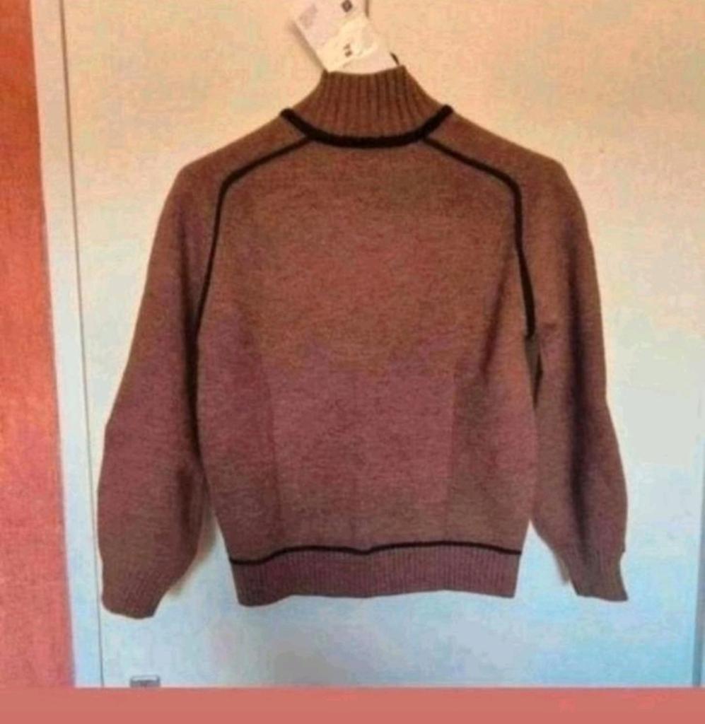 Nieuwe bruine coltrui maat L. Okselmaat 52 cm., Kleding | Dames, Ophalen of Verzenden, Nieuw, Maat 42/44 (L), Bruin
