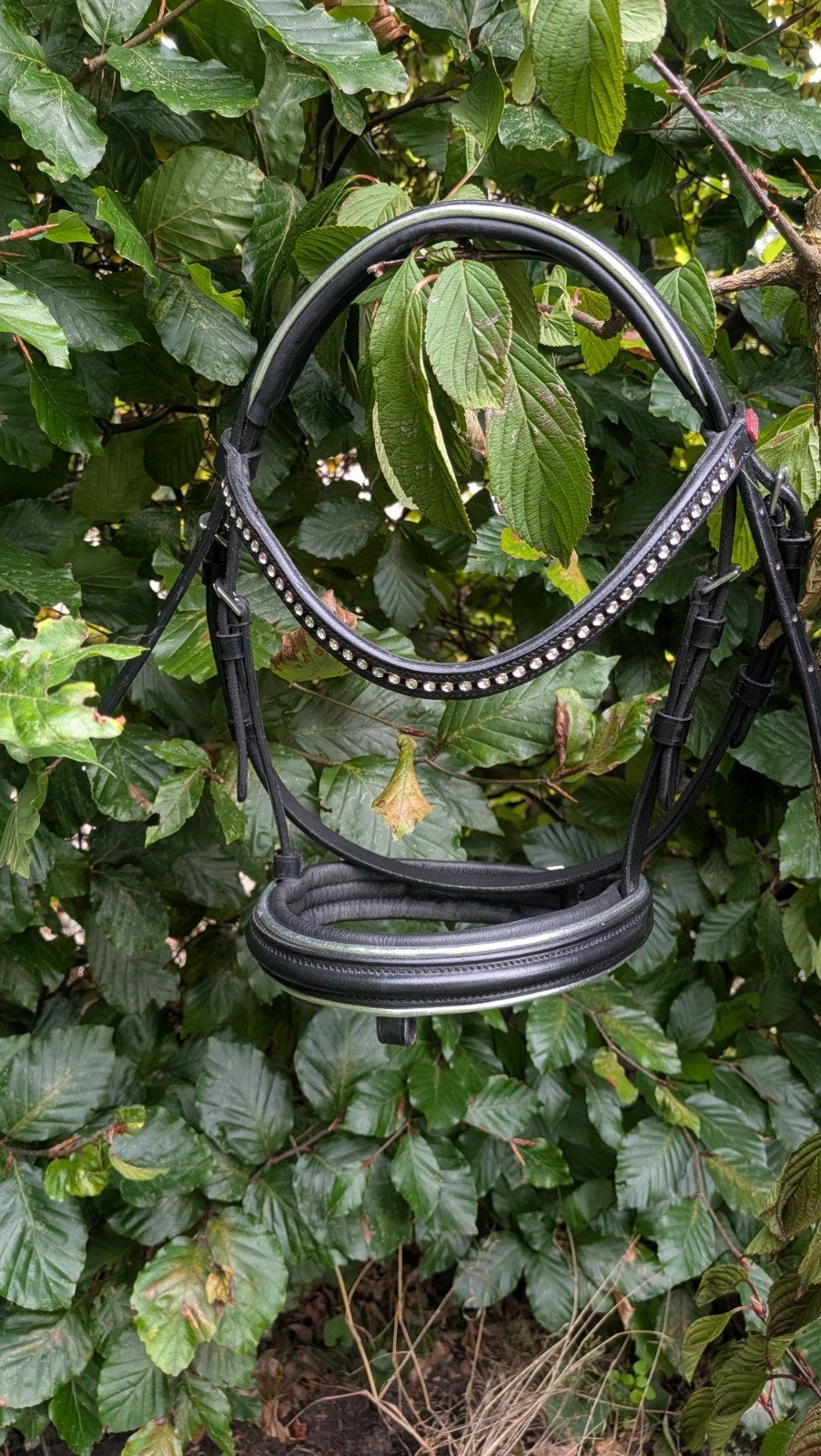 Mooi Hoofdstel te koop Maat Mini/Shet, Dieren en Toebehoren, Hoofdstel, Zwart, Inclusief teugels, Mini