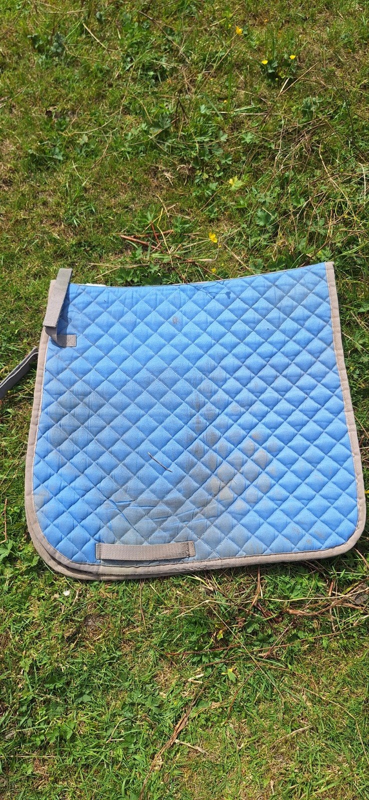 Dekjes 3x, Gebruikt, Dressuurdekje, Ophalen of Verzenden, Full (L)