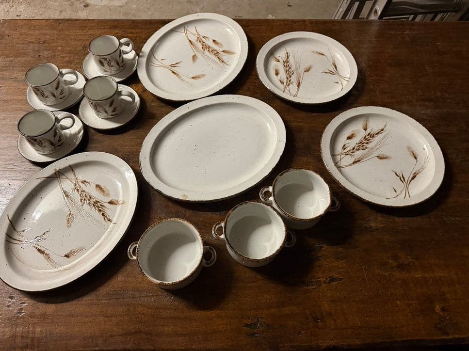 Wedgwood Midwinter Stonehenge / Wild Oats teab, Ophalen