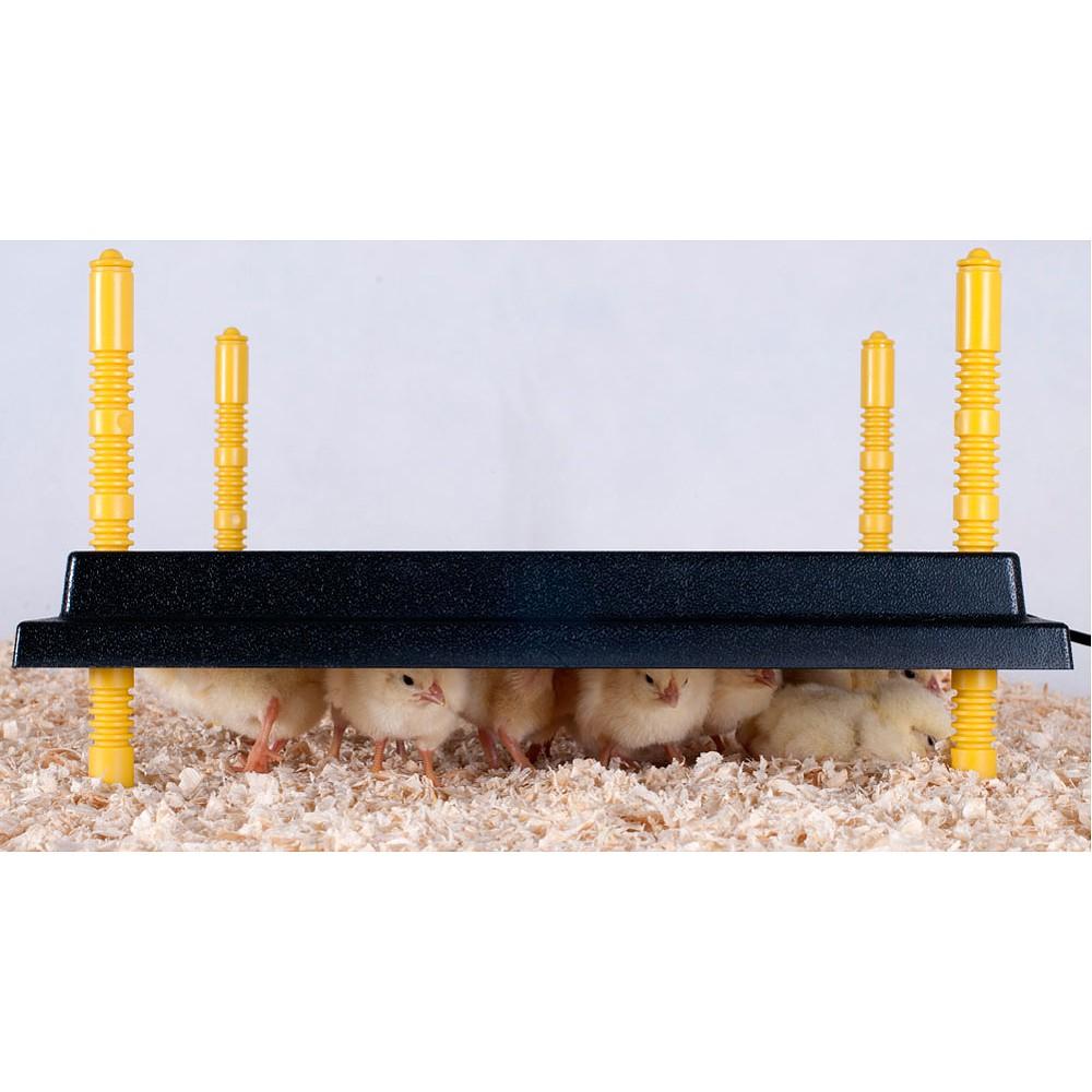 Comfort Warmteplaat (30x30 cm) voor 20-25 Kuikens, Dieren en Toebehoren, Pluimvee | Toebehoren, Info@olba.com, De Mars 13, Coevorden 7742PT