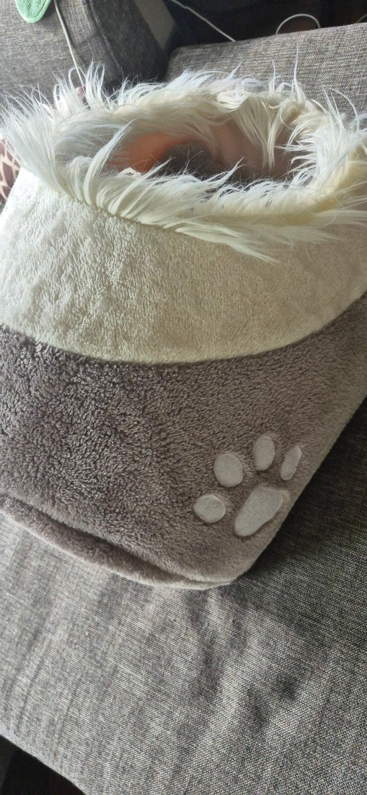 kattenmand, Ophalen