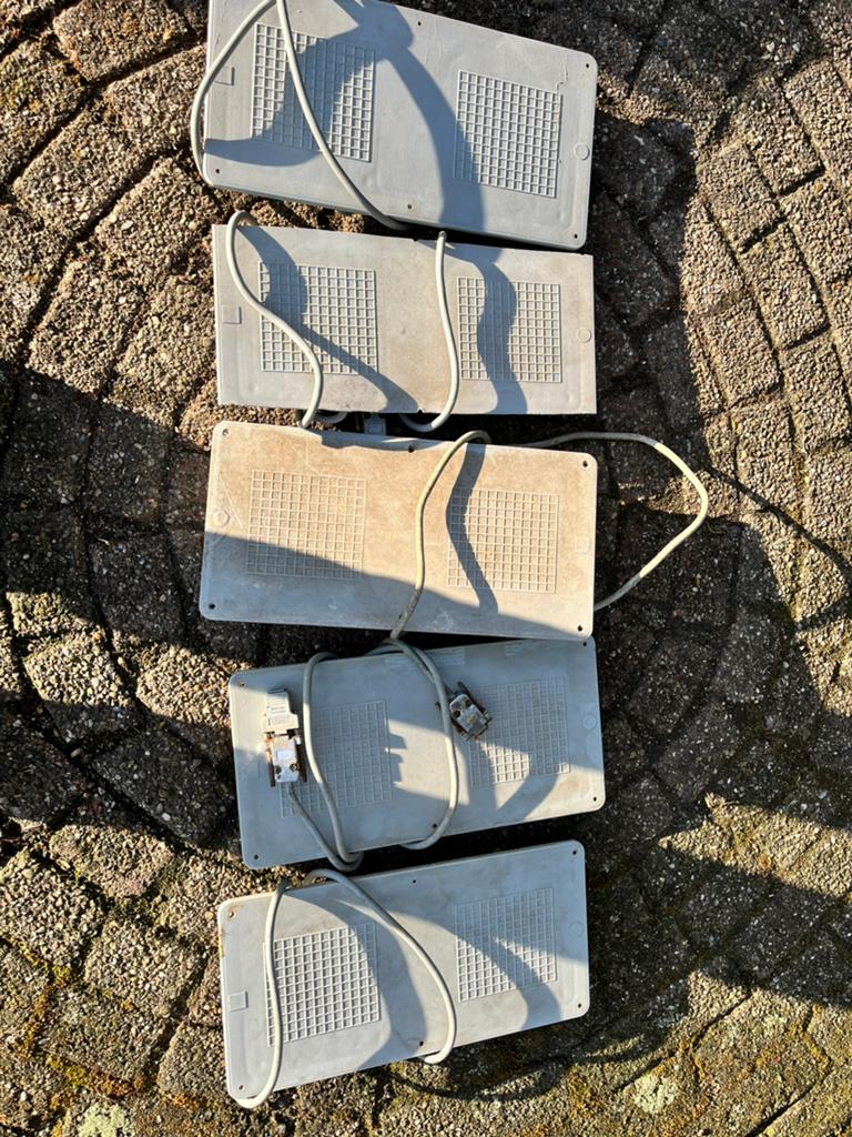 Unikon antennes, Dieren en Toebehoren, Vogels | Duiven, Mannelijk, Postduif