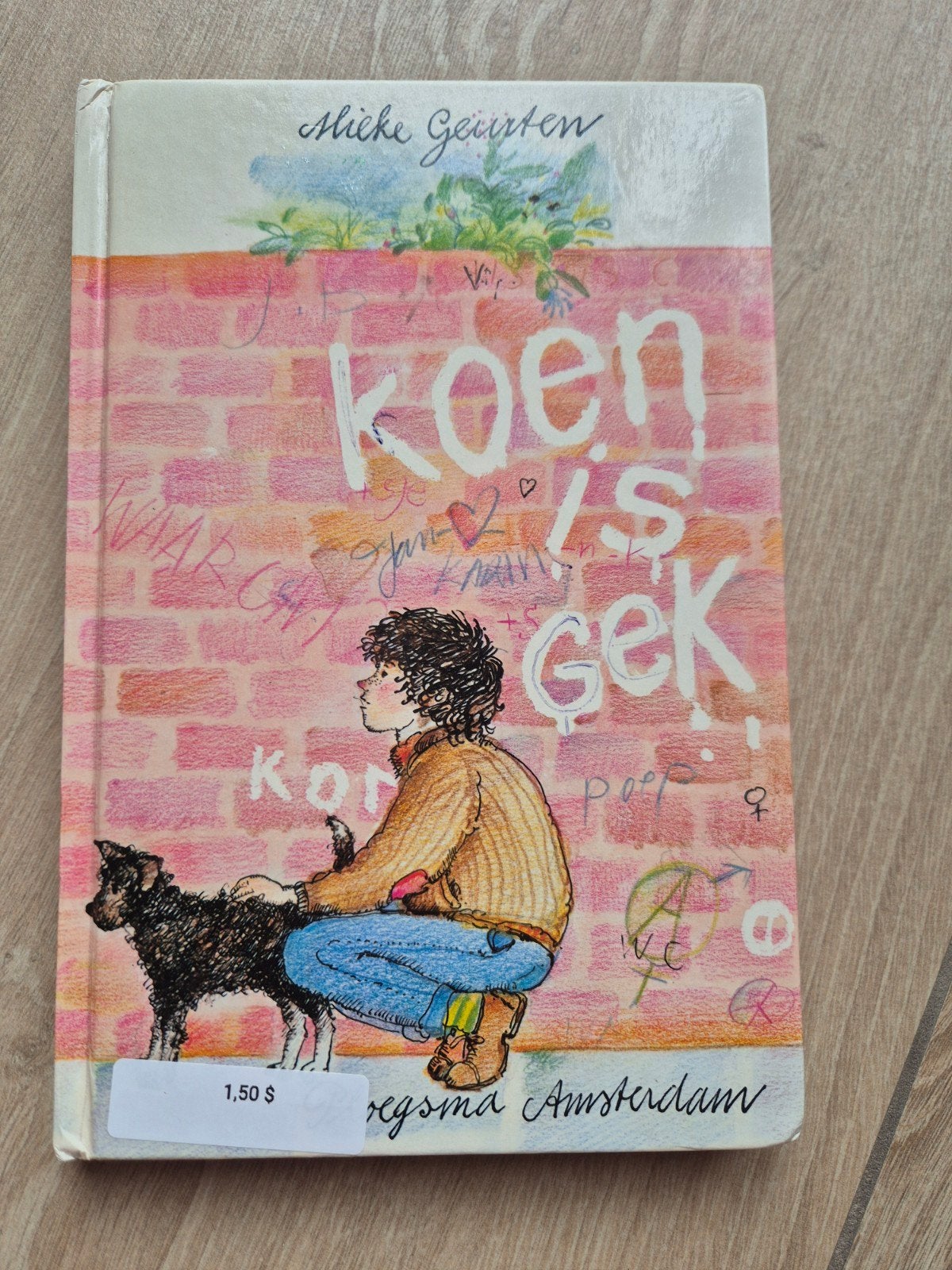 Koen is gek - Mieke Geurten (Jeugdboek), Ophalen of Verzenden, Gelezen, Mieke Geurten, Fictie algemeen