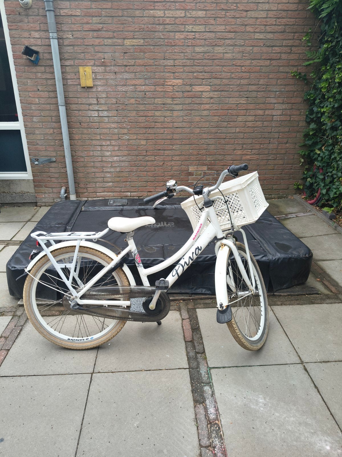 Batavus Diva Damesfiets met Mand - Gebruikt, Fietsen en Brommers, Fietsen | Dames | Damesfietsen, Ophalen, Gebruikt, Velgrem, Versnellingen