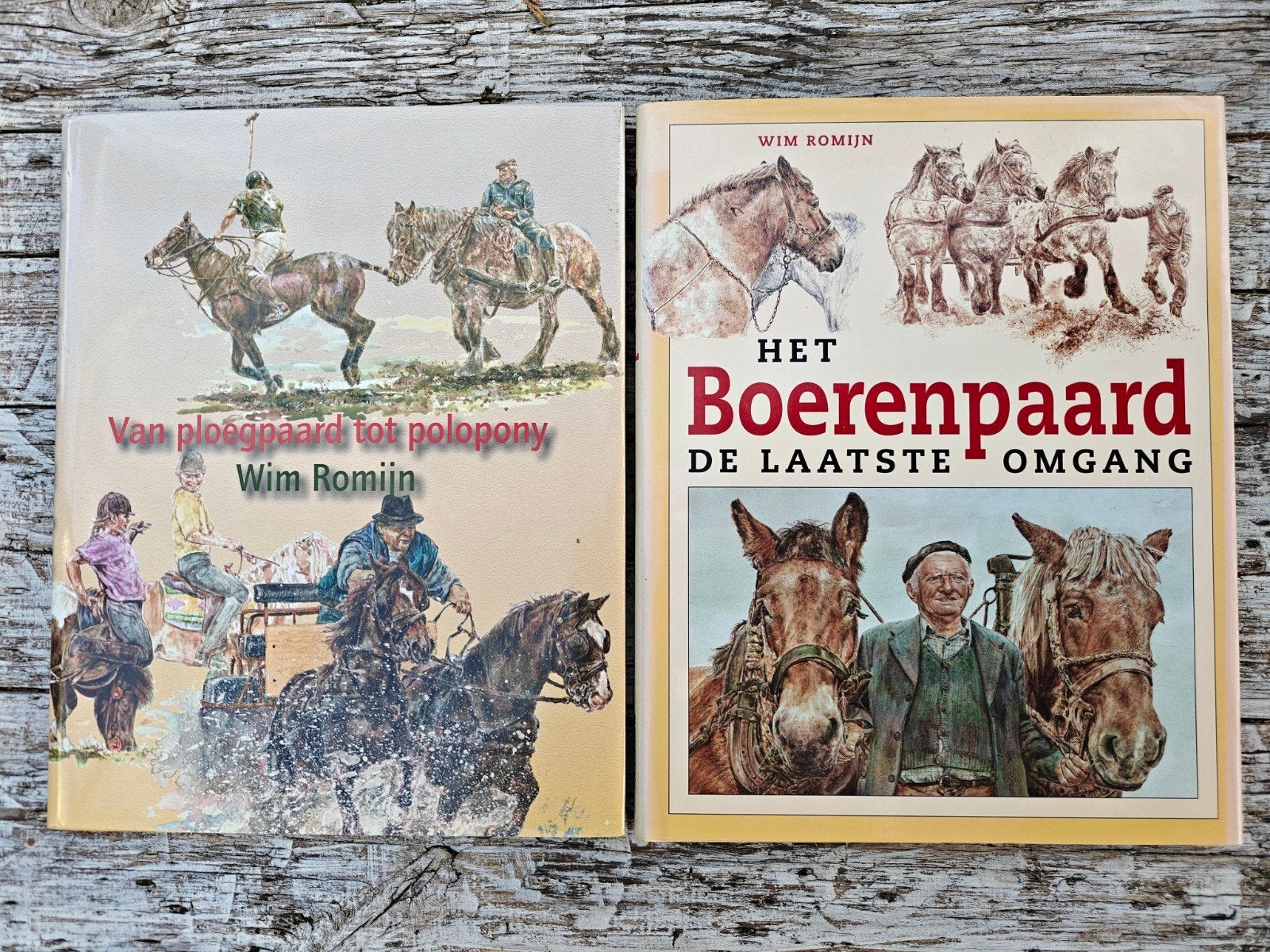 2 Grote prentenboeken van Wim Romijn., Boeken, Ophalen of Verzenden, Zo goed als nieuw