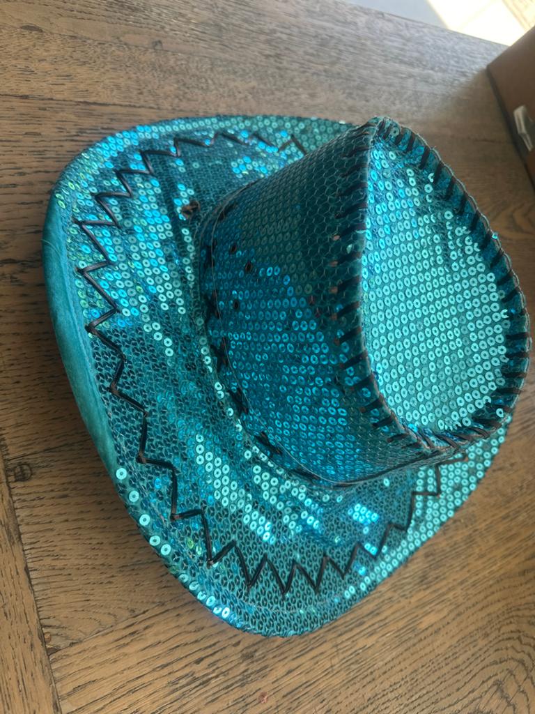 Leuke blauwe glitterhoed met bijpassende stola, Kleding | Dames, Hoeden en Petten, Ophalen, Zo goed als nieuw, One size fits all