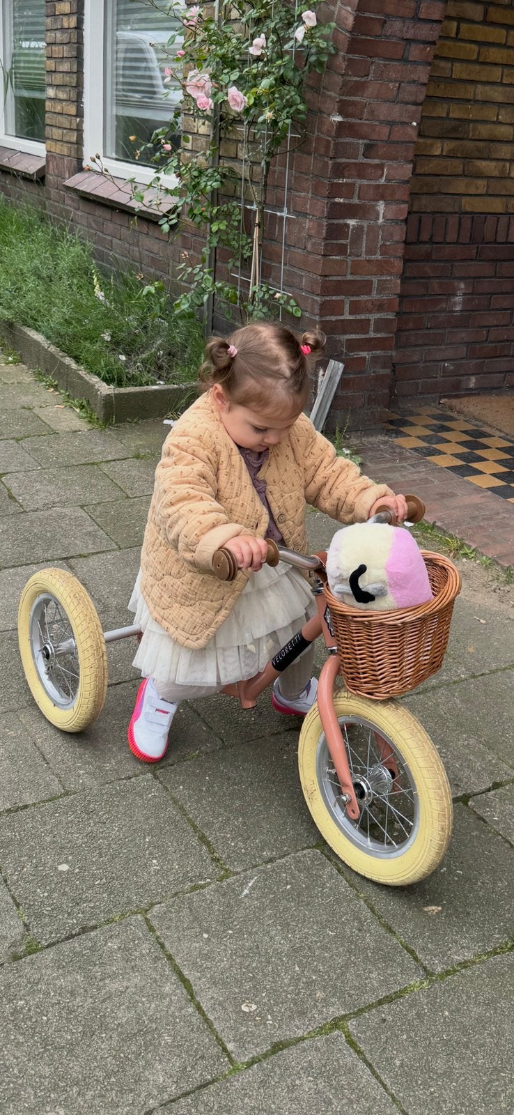 Veloretti tricycle/driewieler & loopfiets blazing salmon, Fietsen en Brommers, Ophalen of Verzenden, Gebruikt, Minder dan 16 inch