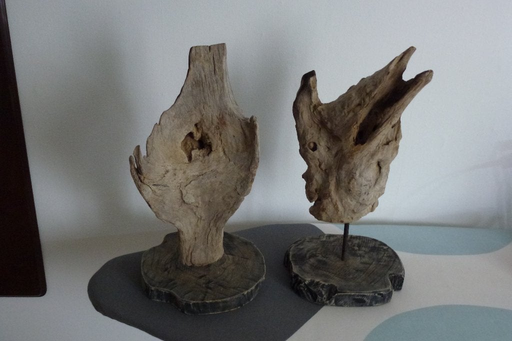 te koop sculpturen  van drijfhout 2x, Ophalen