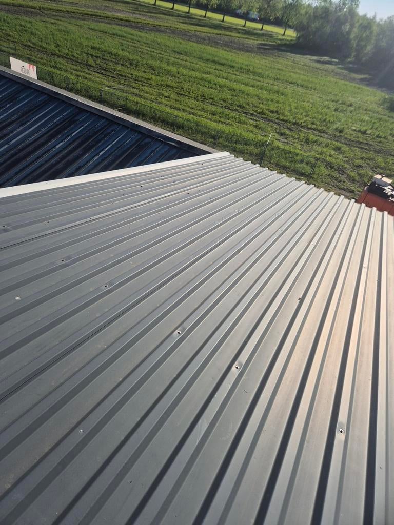 Dakplaten ecopanelen 8 en 9.5 meter, Ophalen of Verzenden