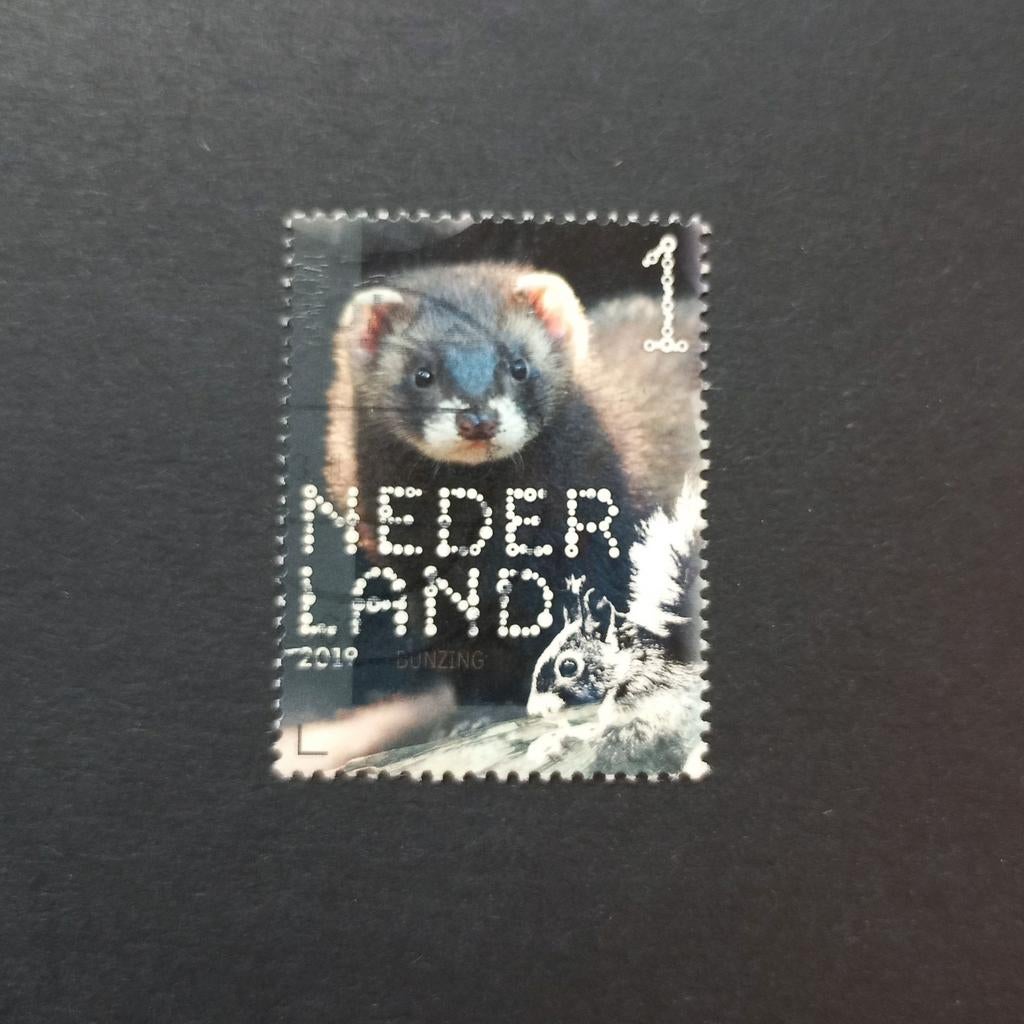 Beleef de natuur 2019, Ophalen of Verzenden, Na 1940, Gestempeld