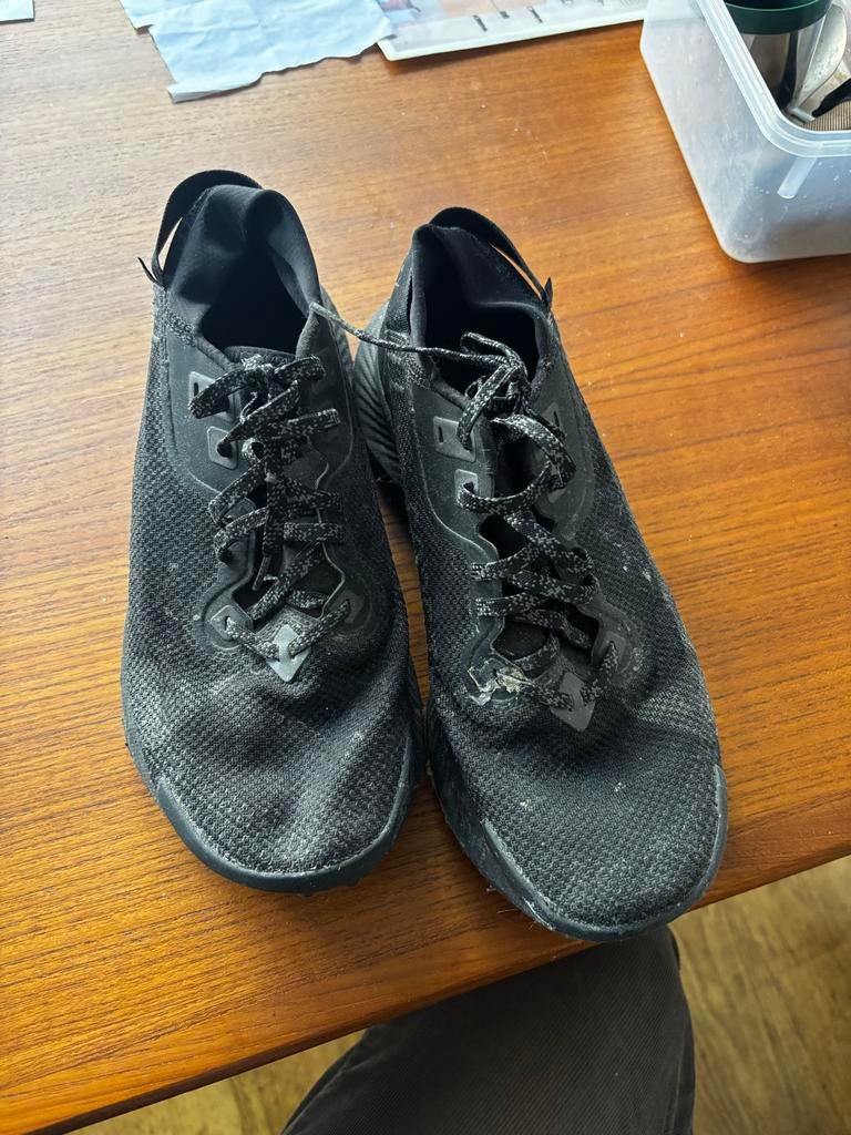 Nike Trail Pegasus GTX - Maat 42,5 / US 9, Ophalen of Verzenden