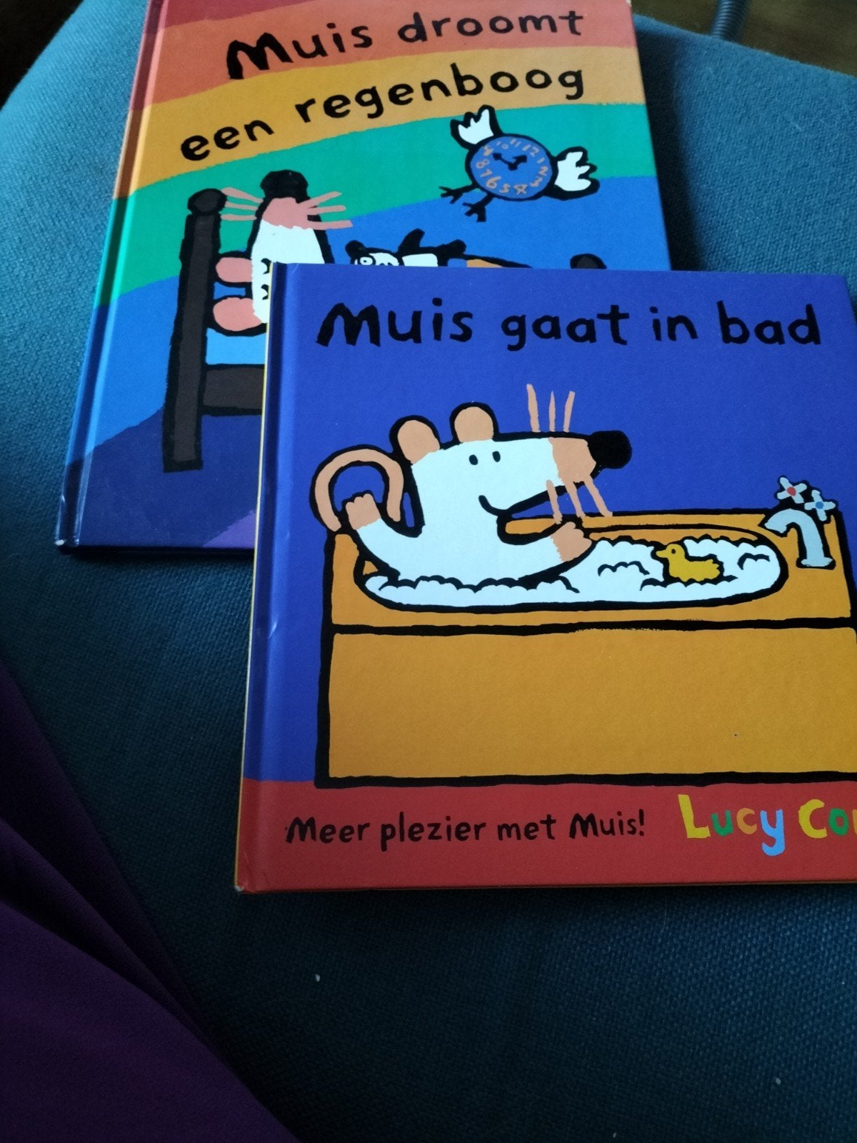 2 Muis boeken, Ophalen of Verzenden, Gelezen, Lucy Cousins, 0 tot 6 maanden