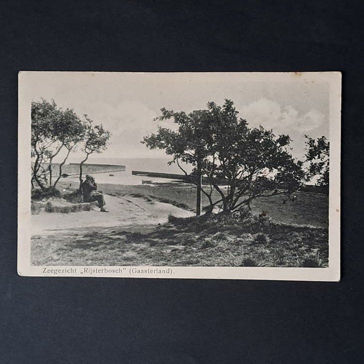 Oudemirdum Gaasterland Friesland Zeegezicht Rijsterbosch, Ophalen of Verzenden, 1920 tot 1940, Ongelopen, Friesland