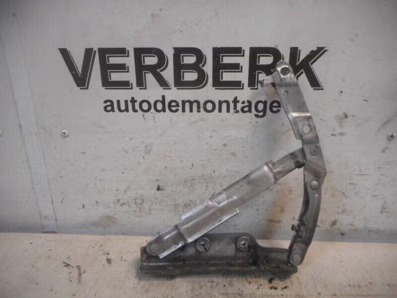 ACHTERKLEPSCHARNIER LINKS Volkswagen New Beetle (9C1 / 9G1), Gebruikt, Berliner Ring 2 38440 Wolfsburg, DE, Volkswagen, Volkswagen AG