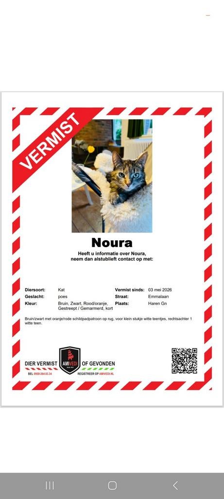 Vermist onze poes in Haren, Dieren en Toebehoren
