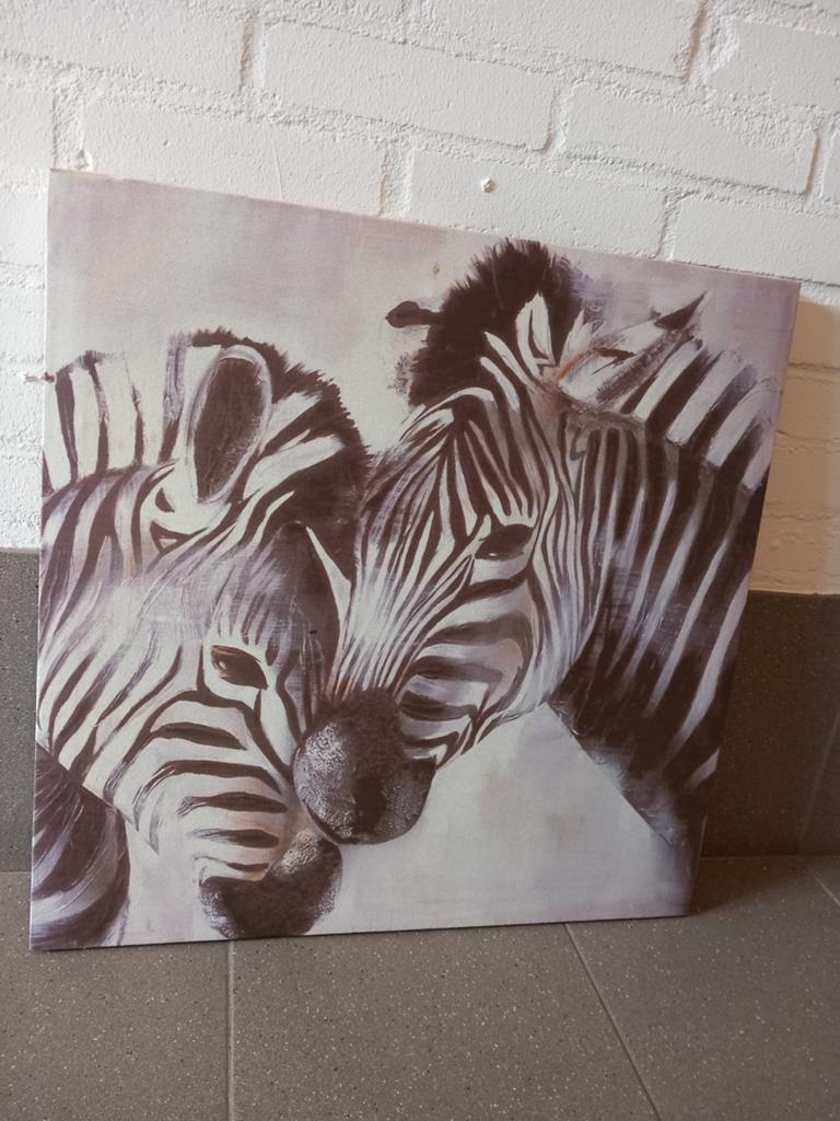 Canvas zebra 50/50 geldrop of mierlo, Ophalen