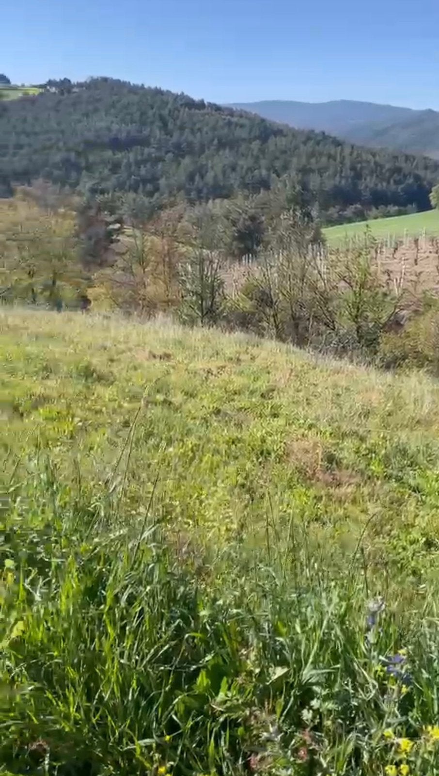 Grond te koop perceel te koop, Dieren en Toebehoren