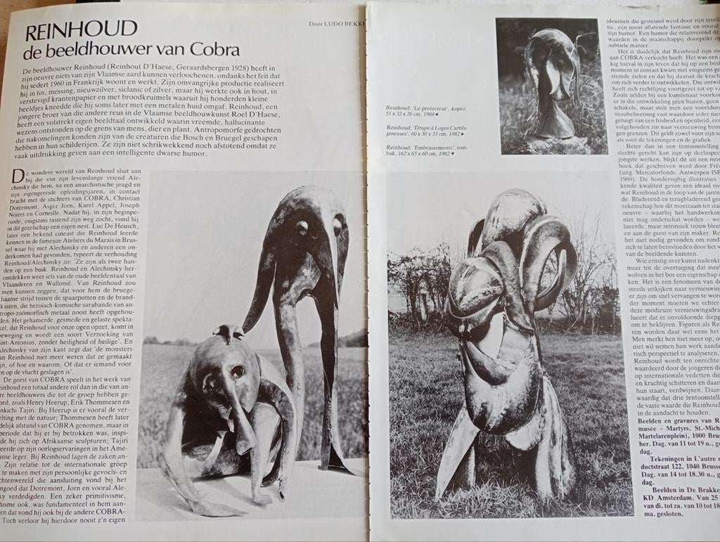 Reinhoud Cobra kunstenaar België artikel, Ophalen of Verzenden, 1980 tot heden, Knipsel(s)