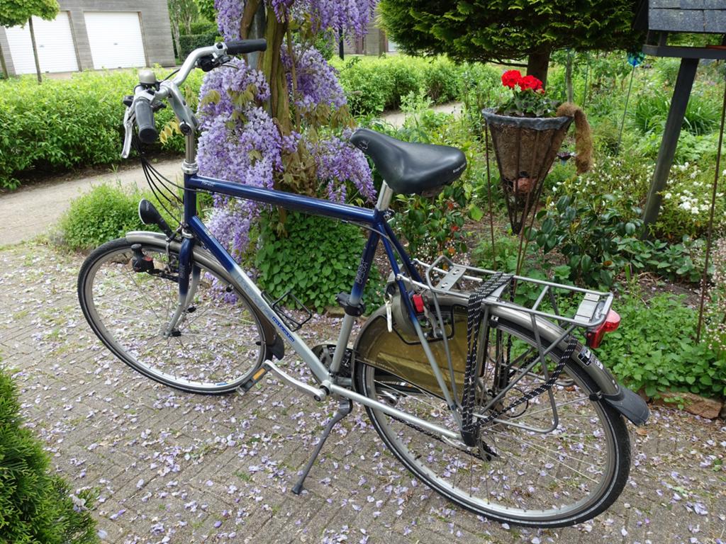 Herenfiets, Koga Miyata, type Forest, Ophalen, Gebruikt, Velgrem, 15 tot 20 versnellingen