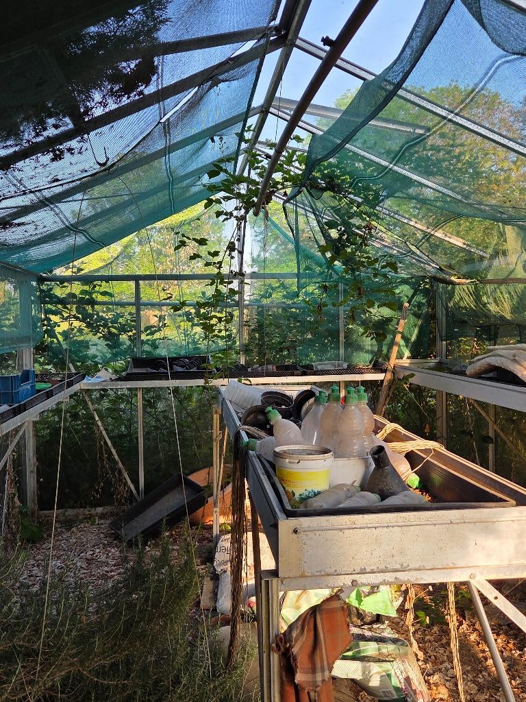 Kweekkast GRATIS!!, Ophalen of Verzenden, Glas, Gebruikt, Aluminium
