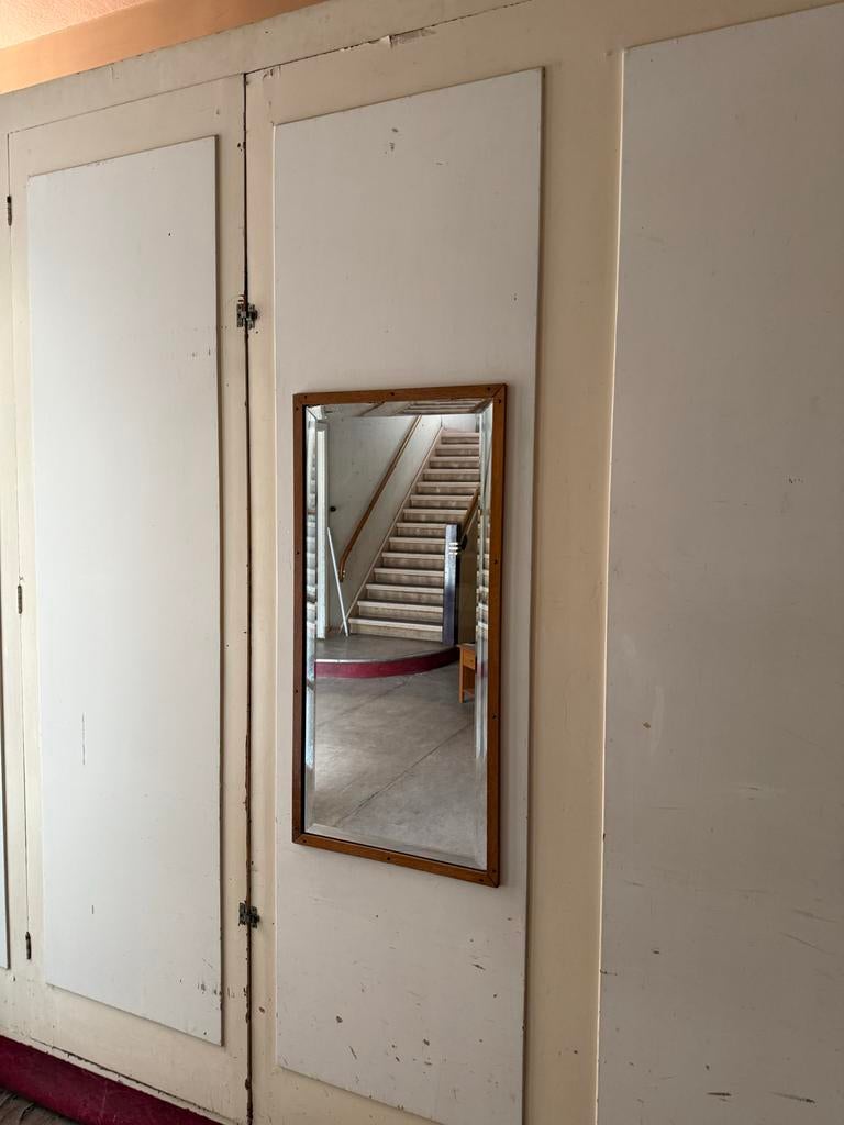 Passpiegel 45,5x94cm, Ophalen, Gebruikt, 25 tot 50 cm, Minder dan 100 cm