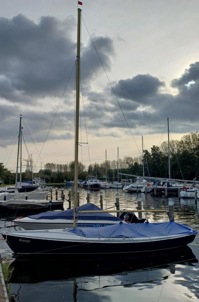 Randmeer Classic met buitenboordmotor en kanteltrailer, Watersport en Boten, Ophalen, Gebruikt, 6 meter of meer, Randmeer