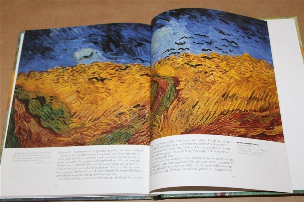 Vincent van Gogh, 1853-1890. Visie en werkelijkheid., Boeken, Ophalen of Verzenden, Zo goed als nieuw