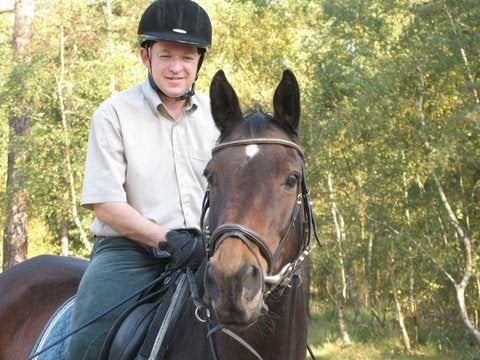 Bijrijder biedt zich aan, verzorgpaard gezocht, Dieren en Toebehoren, Ophalen of Verzenden, Zo goed als nieuw