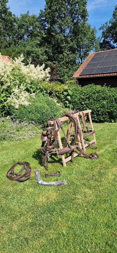 Ideal mentuig (enkelspan), Overige disciplines, Bruin, Mentuig, Zo goed als nieuw