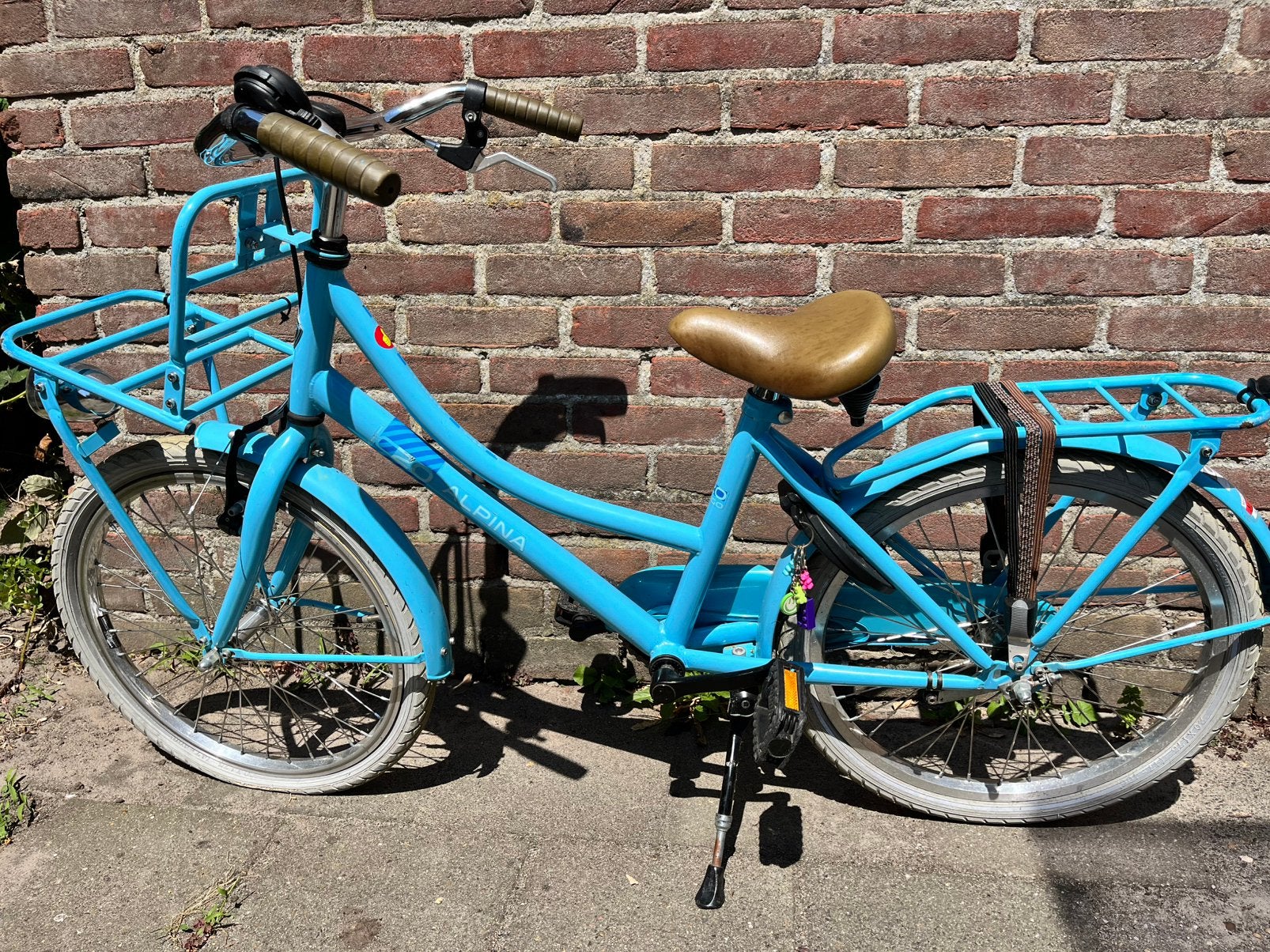 Alpina kinderfiets 20 inch., Ophalen, Gebruikt, 20 inch