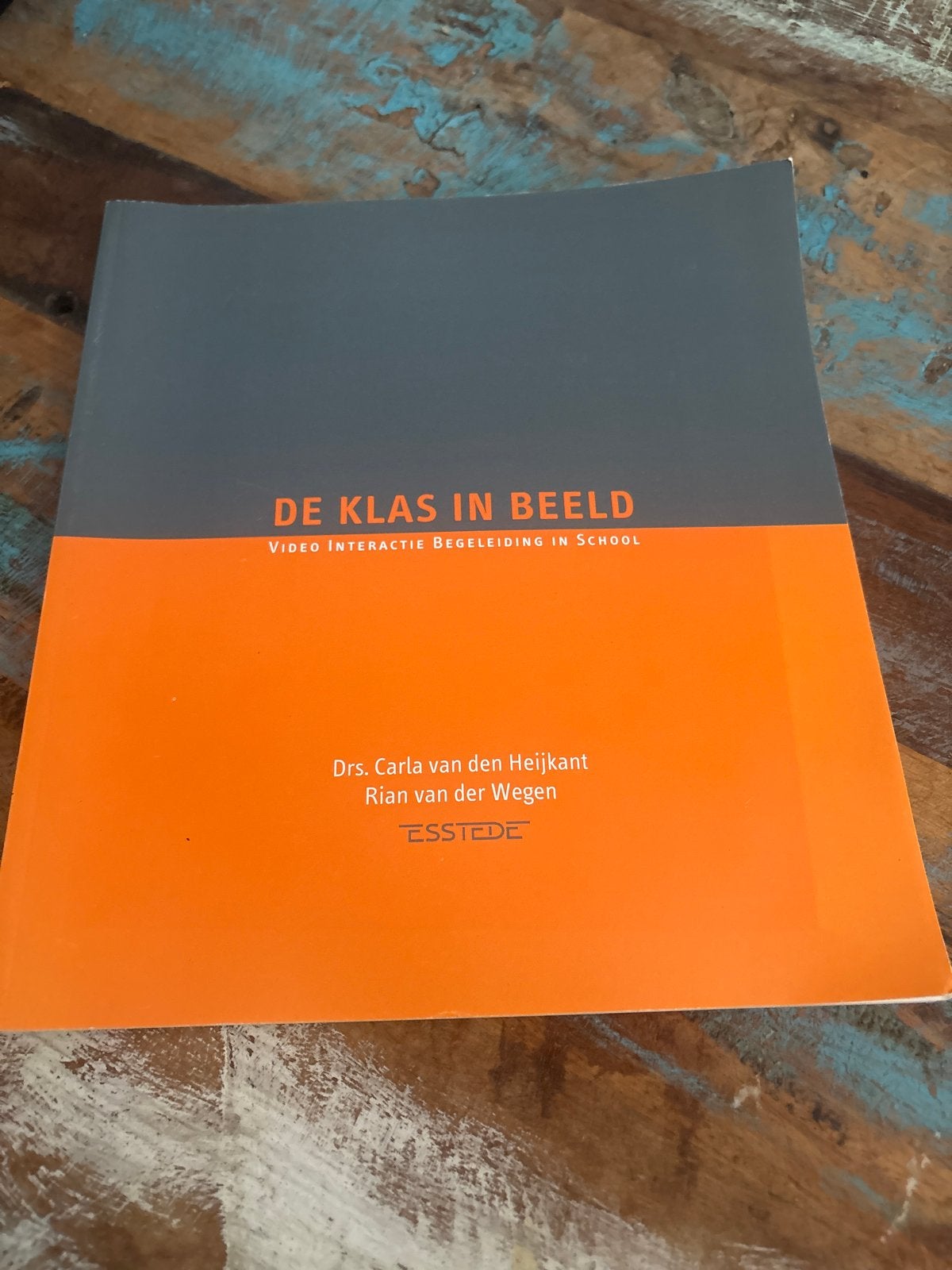 De Klas in Beeld: Video Interactie Begeleiding in School, Boeken, Ophalen of Verzenden, Gamma, Zo goed als nieuw, HBO