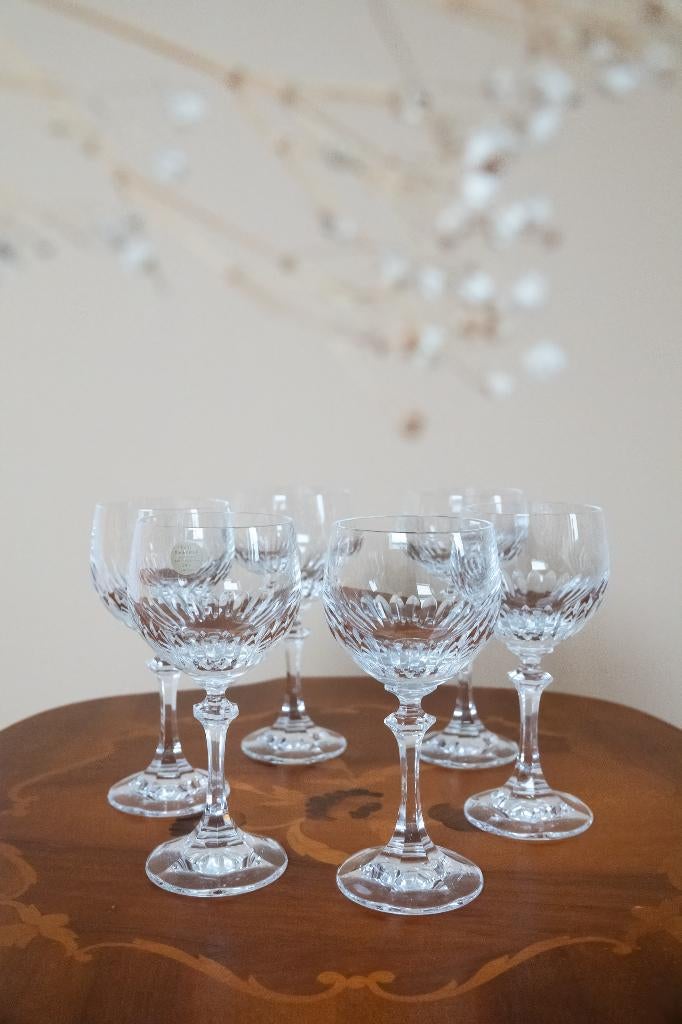 Schott Zwiesel Gardone wijnglazen set van 6 vintage, Ophalen of Verzenden